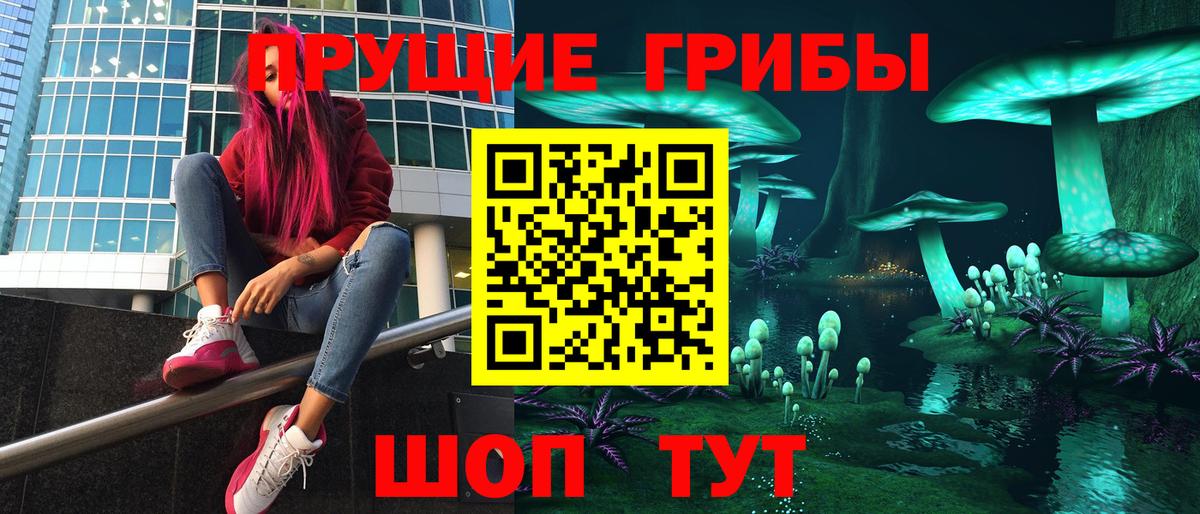Псилоцибиновые грибы Magic Shrooms Чернушка