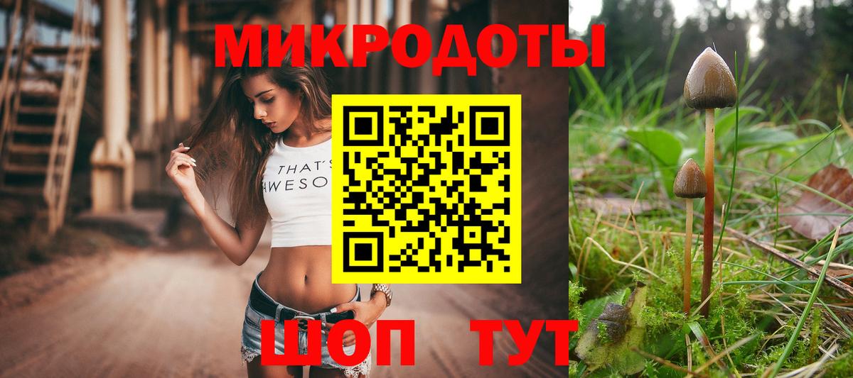 где можно купить   Галлюциногенные грибы мицелий  Вход с VPN  Чернушка 