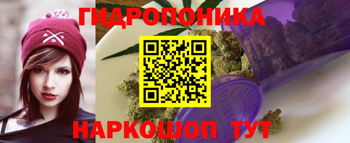 Бошки марихуана VHQ  Вход с VPN  Чернушка  Бошки Шишки Ganja  Конопля сатива  Бошки марихуана ГИДРОПОН 