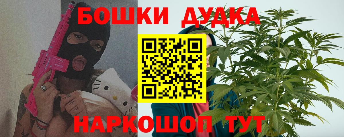 Канабис планчик Чернушка